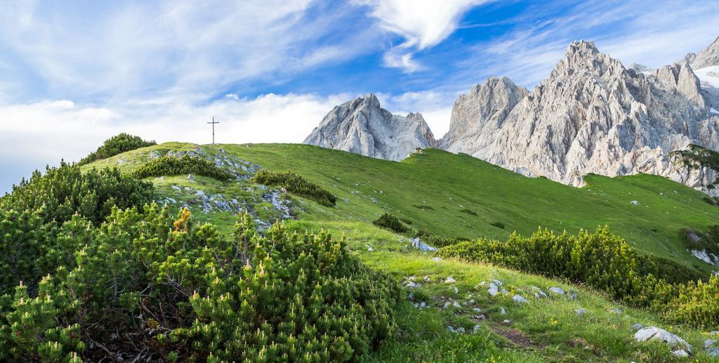 Das Gertraud فيلزموس المظهر الخارجي الصورة